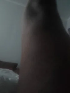 BEASTCOREY Public Bilde 2