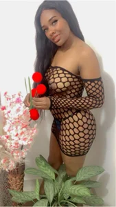 PerlaZultana REINA Bilde