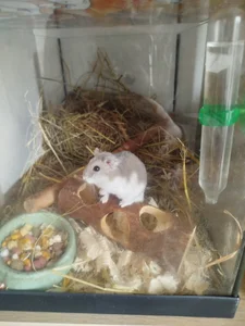 kulisek356 My Foto 4