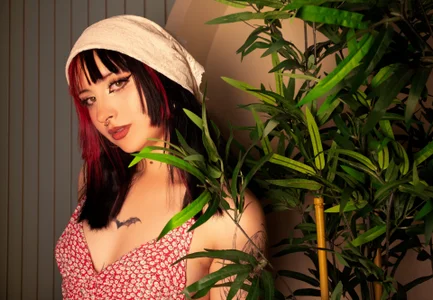 Zoe_Lynch_ As sweet as a flower, as dangerous as the night 🌹🦇 Pic 2