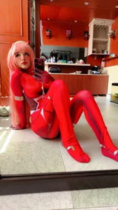 LadyAkumuのZero two (つ.と)の 7枚の写真