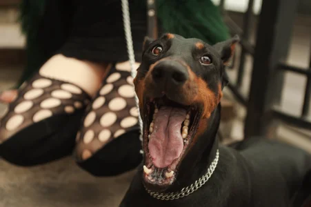 MissBeverlyMills Do you want to be in his place? Pic 5