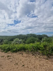 FriendlyDaveDay out图片 9