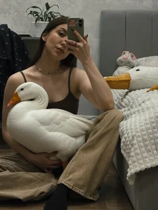 Velvet_Hell 🪿Geese 🪿 圖片