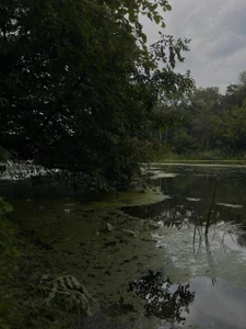barbara_crazy Green tenderness 🍃💓  3টি ছবি