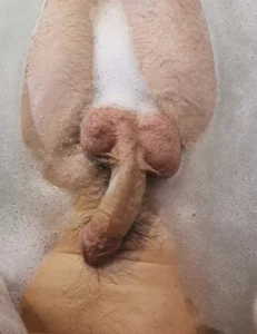 Kingsscepter Public Foto 3