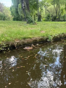 IsabelleEthan kullanıcısının Views 💚 albümü -  3 fotoğraf