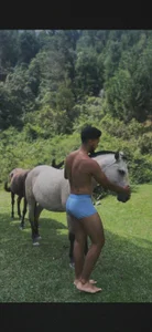 Ride me? od david__johnson372  snímek