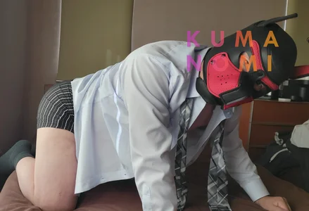 kuma_nomiパピーマスク图片 5
