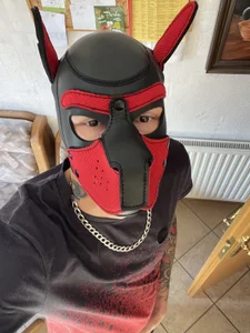 Donaldduck0069 Das bin ich  2. fénykép