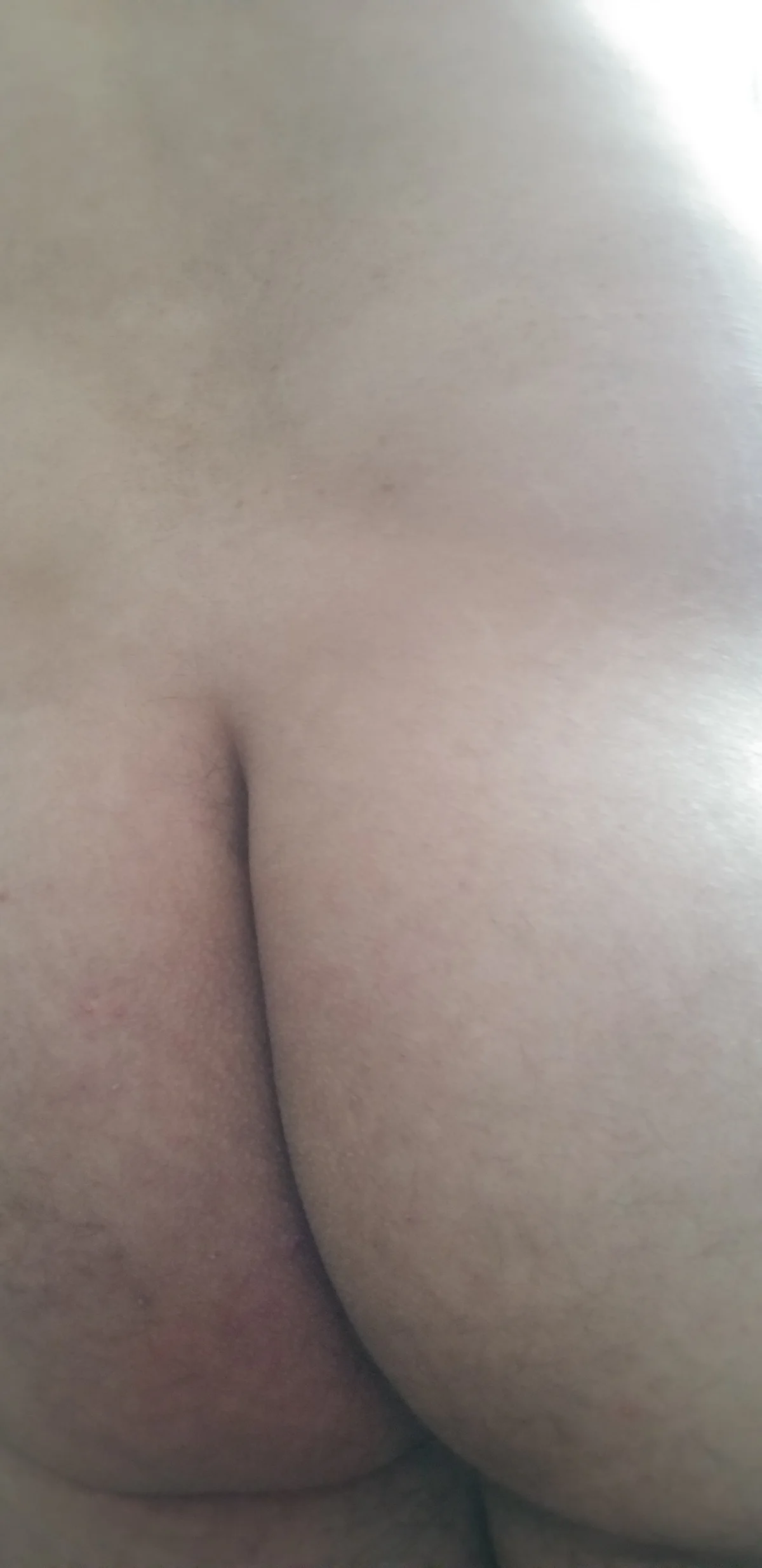 ภาพที่กำลังนิยมของ AnalChampionLovense777  7763