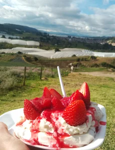 Zdjęcia Alisson_420 In the place that gives me the most calm and energy.:  4