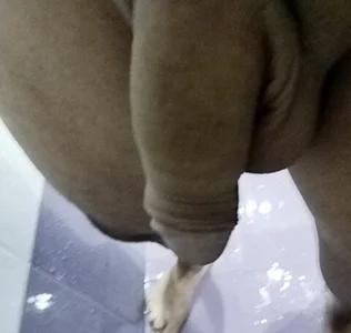 mortikoplqs Public Pic 7