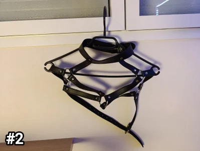 Seth_Molly Public Foto 2