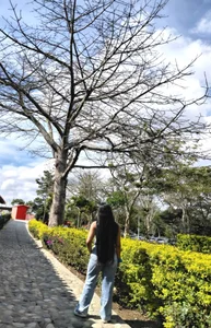 lizza_ossA beautiful day! 🌲图片