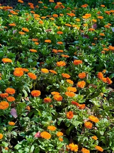 yunbaobei_6688 11 Foto 4