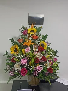 Sophiaa_Gomez Thank you for making my days bright, I carry you in my heart Pic