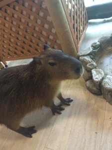 YARASERO-kunのPublicの枚の 写真