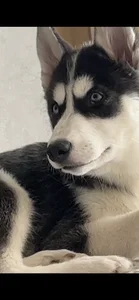 AnastasiaAniess ❤️welcome to the dysfunctional family LEYLA ❤️ Foto 8