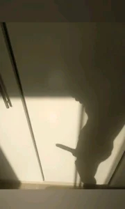 WillTk98: Public ( фото)