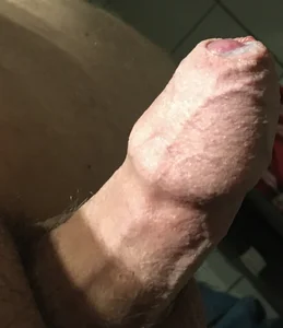 Derbaer1990 Public Bilde