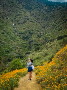 Daniela_RodrigueZz naturaleza en Chile🌿🪵🇨🇱 Pic 4