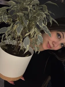 MarianBetter's photo