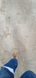 karlossan24 Public Immagine  3