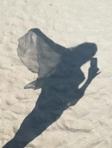 LadyLeea Seaside greetings ! зображення