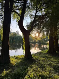 IsabelleEthan kullanıcısının Views 💚 albümü -  4 fotoğraf