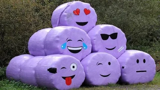 cursoratory Public Εικόνα 3