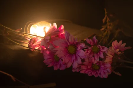 lila_cohen Flowers never miss 🌻 Pic 7