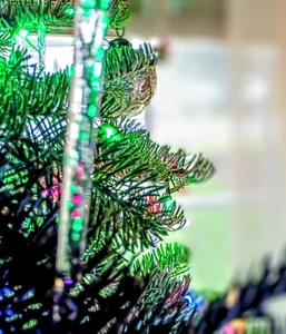 Christmas de faithfulchic  5 photos