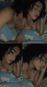 rose_petite01rose Bild