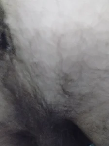 Public od volikhon  3 snímek