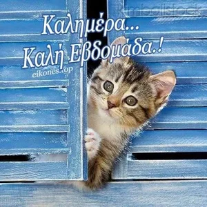 antoniothelover !!! صورة واحدة|antoniothelover !!! صورتان|antoniothelover !!!  2 صور|antoniothelover !!!  2 صورة