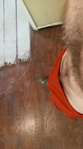 Kitrider Public Hình 6