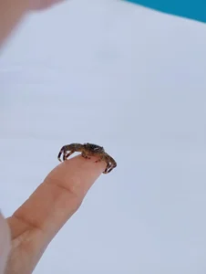 Public de samanta_xi  Imagens