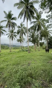 Queenmariafuckerのfuckerの枚の写真