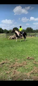 Buffshagswell: Public ( 3 фото)