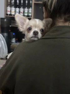 stripcouplee: <3 ( 4 фото)