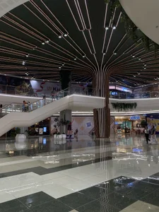 Public de Secretfantasycum  8 photos