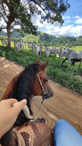 pregnant_sofii18Public Bild 4