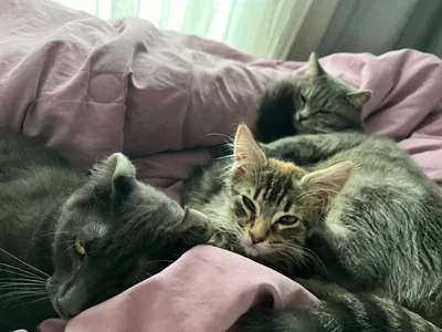 Rina_Red welcome home Bucks Gambar 3