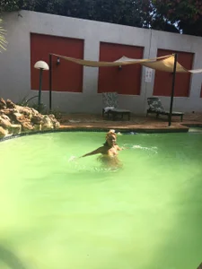 Miss_Moriah Swimming Poză 3