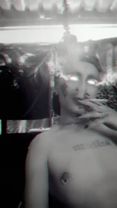 Apolosolardragon The Dragon King Bilde