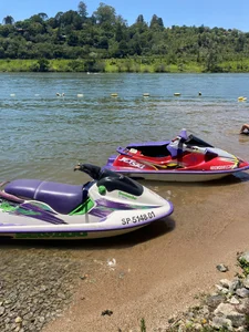 OlhoosclarosのOlha ele aíの 4枚の写真