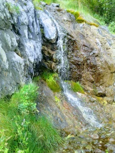 DreamvilleINCTravel Enthusiastic Bild 3