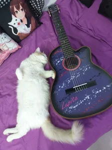 claryssa_ Public 사진 8