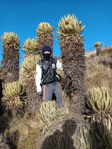 kervs_id me in nature Immagine 